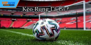 Kèo Rung - Cách Đọc, Chơi, Phân Tích Dễ Hiểu Cho Người Mới