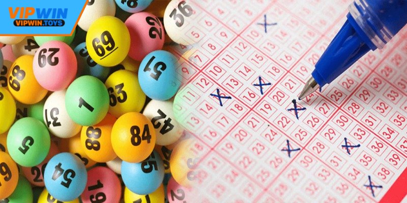 Theo dõi chi tiết kết quả để nhận thưởng