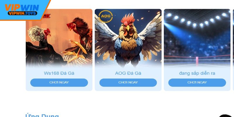 Thông tin cơ bản về đá gà Vipwin