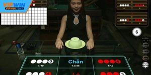 Xóc Đĩa Vipwin - Trận Đấu Kịch Tính, Thắng Lớn Dễ Dàng